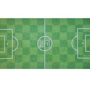 Hartie teren joc, scurt, model cu iarba Sardi