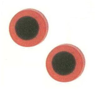 Slefuitor varf tac - plastic