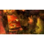 Carti de joc Bicycle Stargazer 202