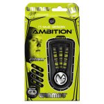 Set sageti Winmau steel MvG Ambition 22g, BRASS