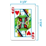Carti poker 100% plastic, COPAG 1546 Regular index, negru-auriu pachet dublu