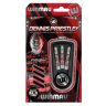 Set darts soft Winmau Dennis Priestley 90% wolfram 18g