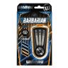 Set sageti steel Winmau Barbarian 20g Inox steel