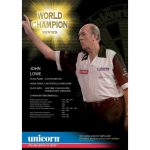 Set sageti Unicorn steel, W/C Ambassador John Lowe 21g, 90% Tungsten