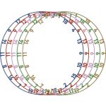 Inel cu numere darts Bull's mat- 5 buc/set