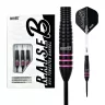 Set sageti darts steel One80 Raise B-PI, 21g, 80% wolfram