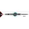 Sageti darts steel One80 Fabian Schmutzler 22g, 90% tungsten