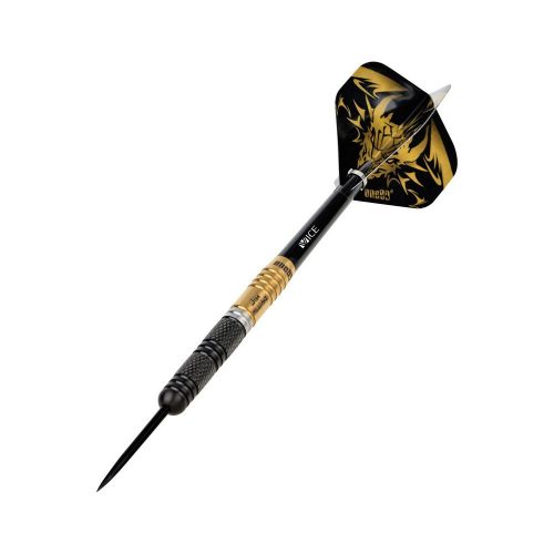 Set sageti darts steel One80 Jim Williams Signature HD 24g, 90% wolfram