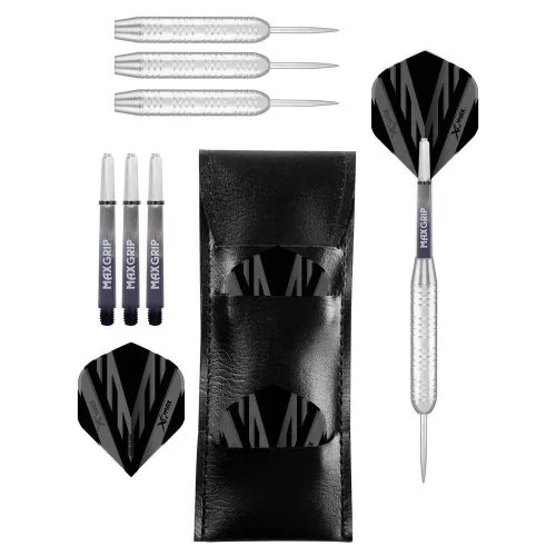 Set sageti darts steel XQ Max Silver Coated 23g, brass