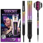 Set sageti darts RedDragon steel Peter Wright 25g World Champion 2020, 90% wolfram