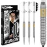 Set sageti darts steel Red Dragon Gian Van Veen, 21g brass