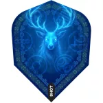 Set sageti Shot steel, Celt Merlin 24g, 95% wolfram