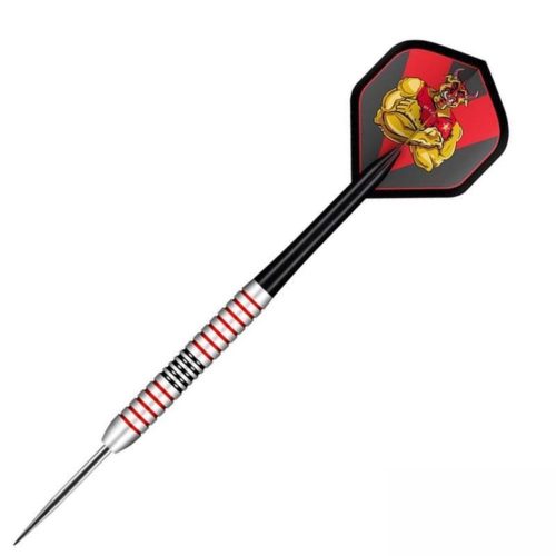 Set darts  steel Shot Michael Smith  24g, brass, corp cupru