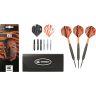 Set darts steel Raymond van Barneveld 22g, brass 2023