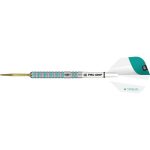 Sageti darts TARGET, steel 21g, Rob Cross G2, 90% tungsten, 2020