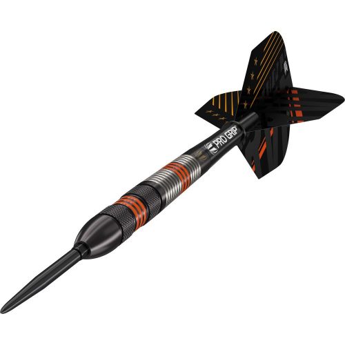 Set darts steel TARGET Raymond van Barneveld SP Black 2023, 21g 80% wolfram