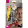 Set darts Target steel Swiss Point Dimitri Van Den Bergh Gen2 21g, 90 wolfram