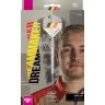 Set darts Target steel Swiss Point Dimitri Van Den Bergh Gen2 25g, 90% wolfram