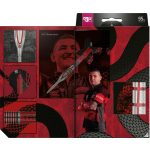 Set darts TARGET steel SP, Aspinall G2, 24g 95% wolfram