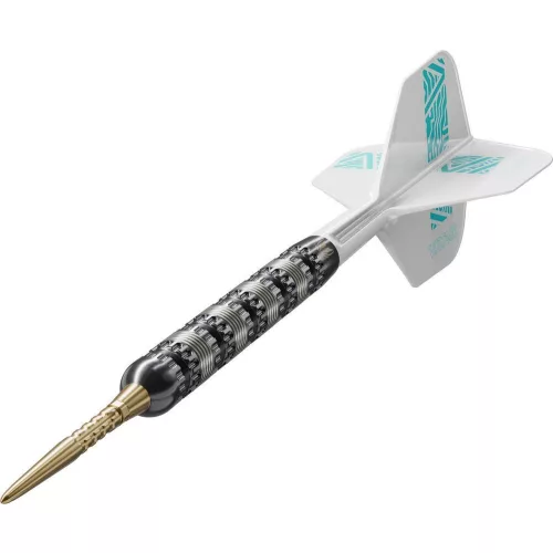 Set sageti darts steel Target Sp Rob Cross 95K, 25g 95% wolfram