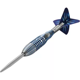 Set sageti darts steel Target SP Phil Taylor Power Gx2, 22g, 95% tungsten