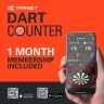   Set sageti darts steel Target SP Bolide Envy 01 - 23g, 90% wolfram