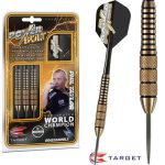Set sageti TARGET steel POWER BRASS 22g