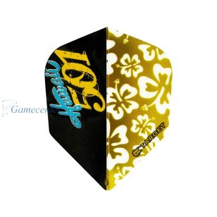 Fluturas darts TARGET VISION 330300 WAYNE MARDLE