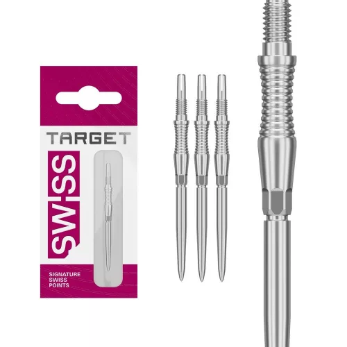 Varf darts TARGET Swiss Point Storm RST, argintiu 35 mm