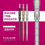 Varf darts Target Swiss Point TRB, argintiu 35mm
