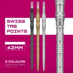 Varf darts Target Swiss Point TRB, argintiu 42mm