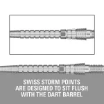 varf darts target Swiss Point Chrono Swiss Storm, argintiu 30mm