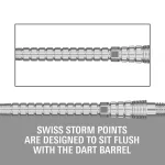 Varf darts Target Swiss Point Chrono Swiss Storm, argintiu 35mm
