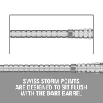 Varf darts steel Target Swiss Point Chrono Swiss Storm, ezüst 42mm