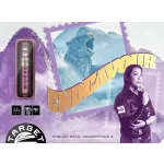 Set sageti darts steel Target Japan SP Endeavour G2, 24g, 90% wolfram