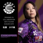 Set sageti darts steel target Japan kasumi Sato Endeavour G3, 24g 90% wolfram