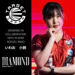 Set sageti darts steel target Japan Kosuzu Iwao Diamond G4 24g, 90% wolfram