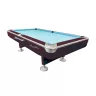 Astra Sport masa pool biliard 9' mahagoni